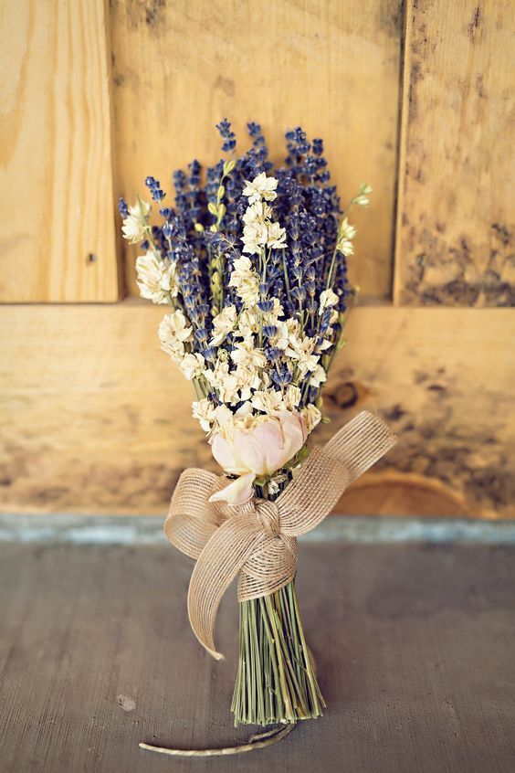 hoa kho lavender