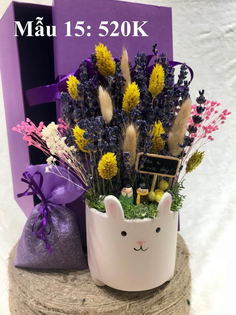 Thế giới lavender