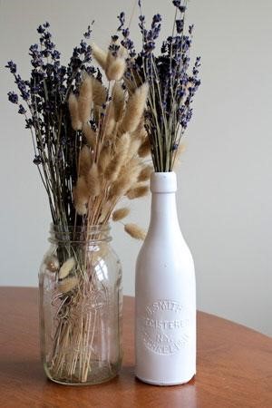 Thế giới Lavender 