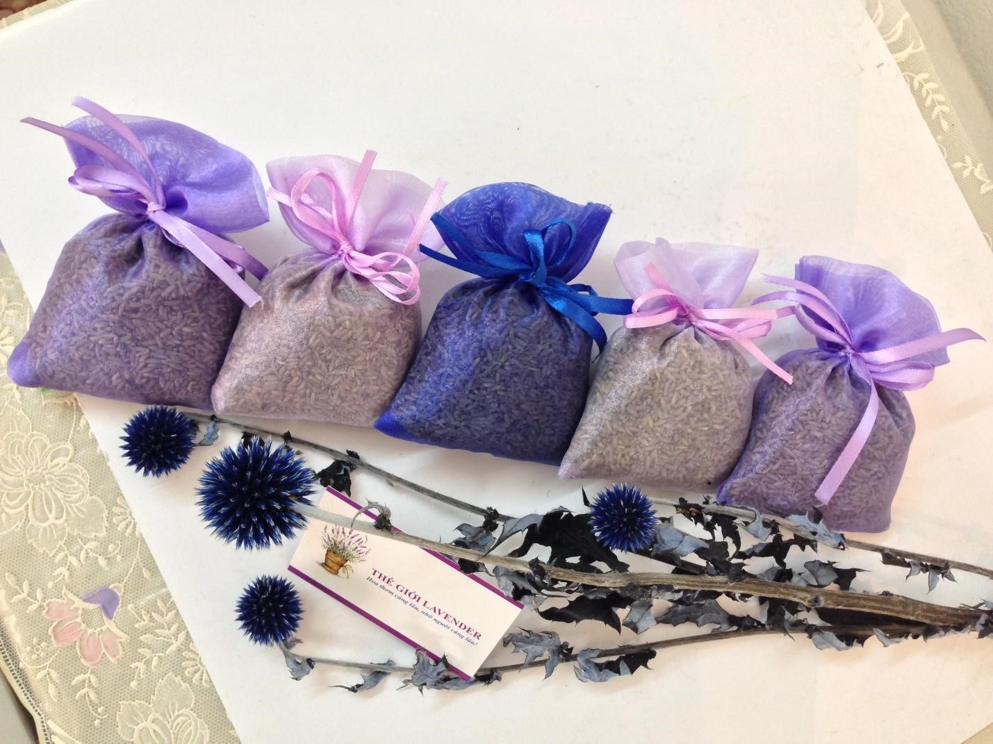  Thế giới Lavender