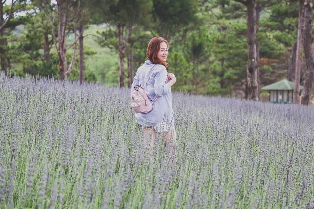 Thế giới Lavender