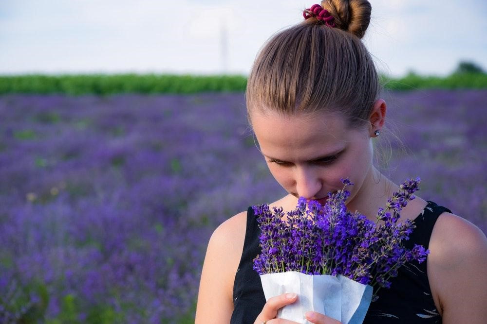 Thế giới Lavender