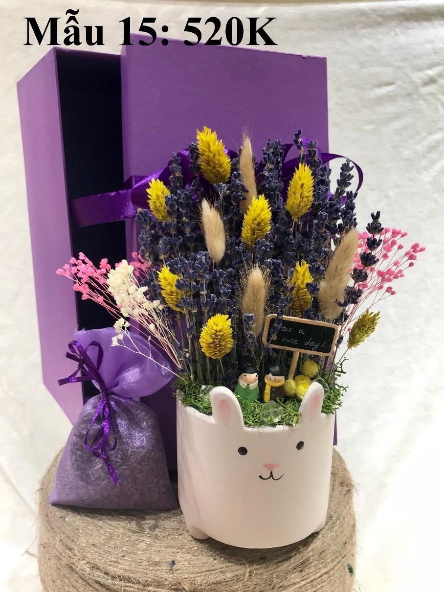 Thế giới Lavender