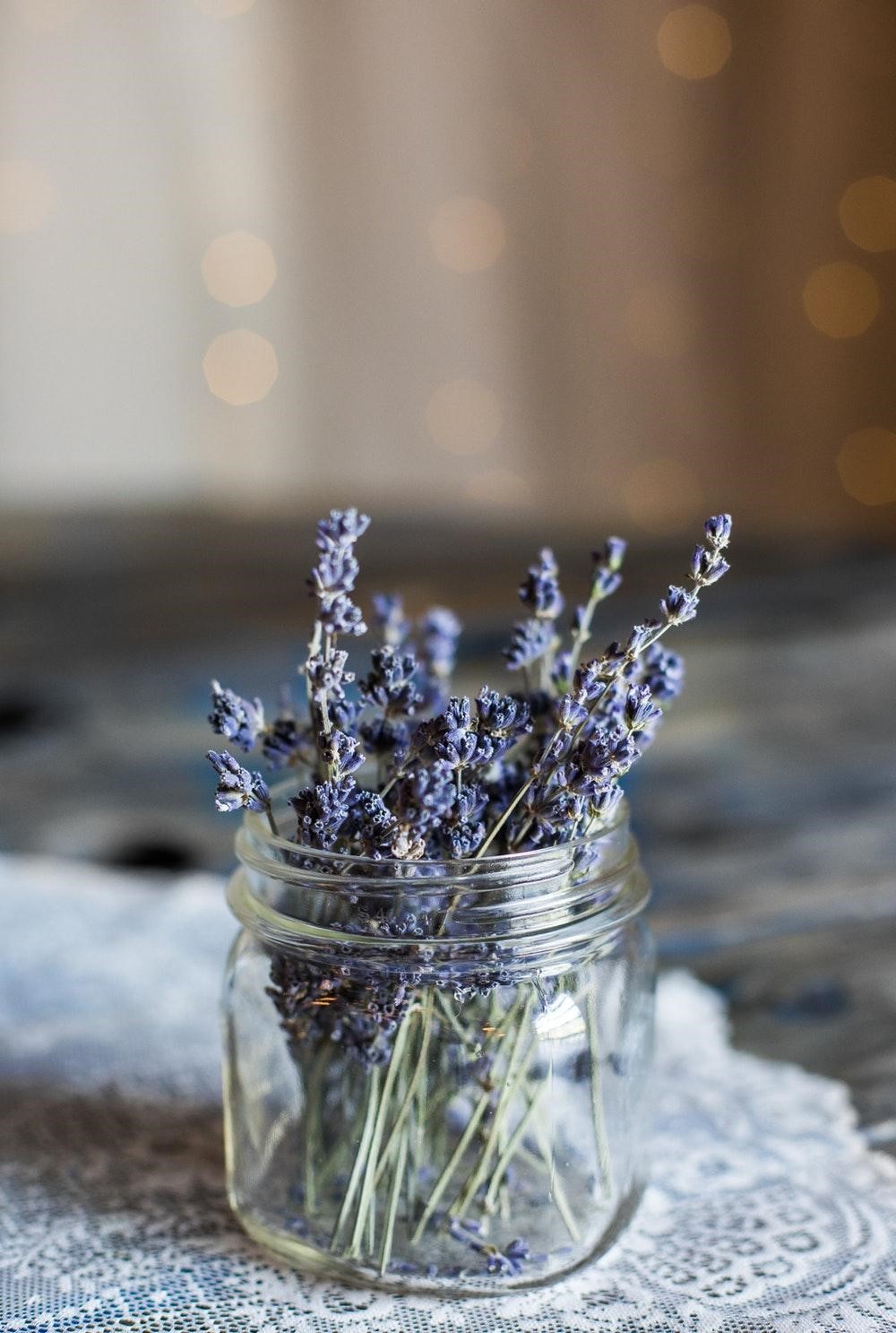 Thế giới Lavender