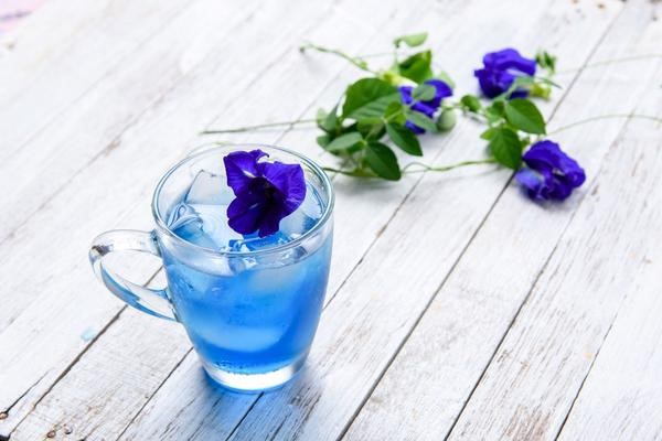 Thế giới Lavender