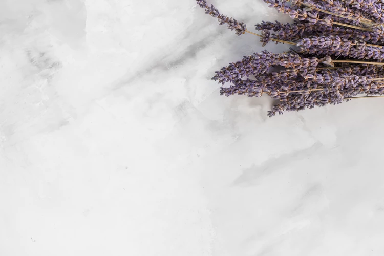 Thế giới Lavender