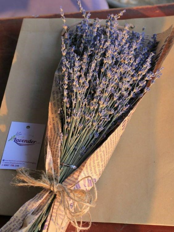 Thế giới Lavender