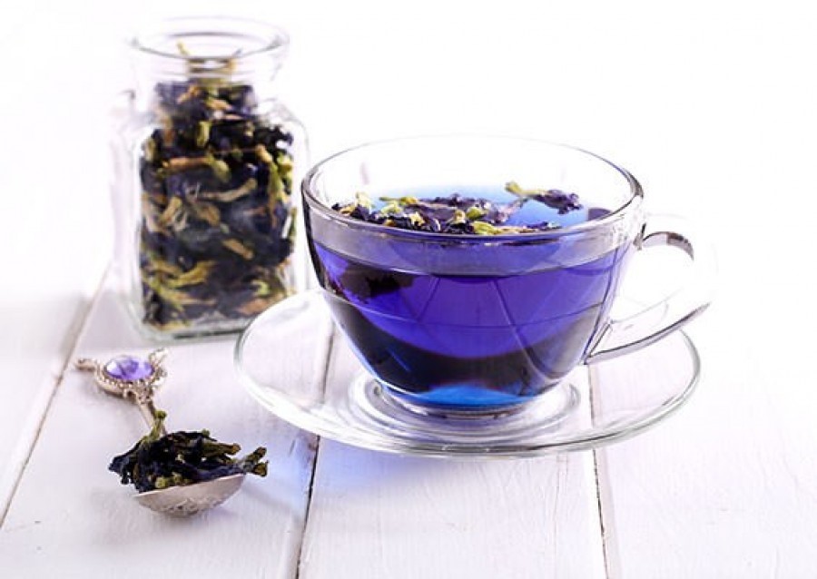 trà hoa đậu biếc