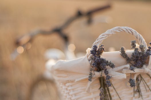 Thế giới Lavender