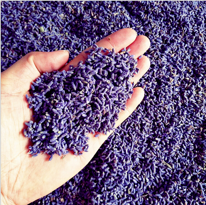 Thế giới Lavender