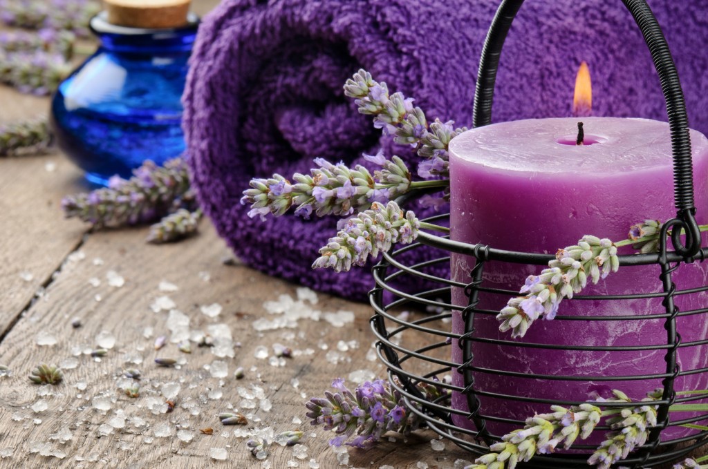 Thế giới Lavender
