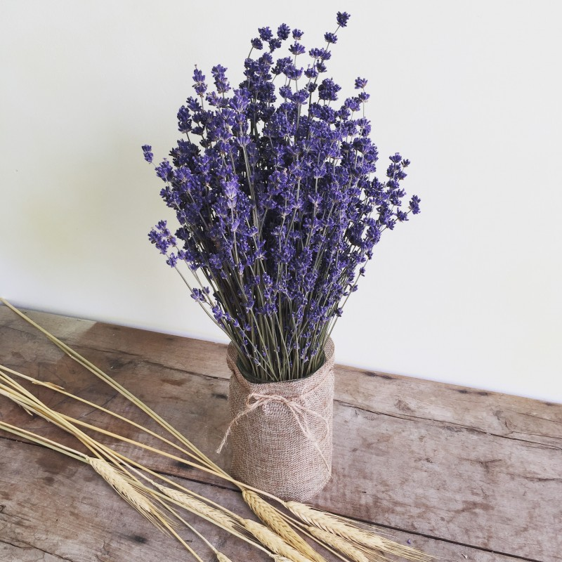 Thế giới Lavender