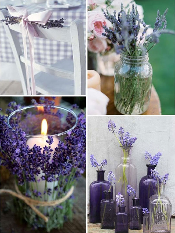 Thế giới Lavender