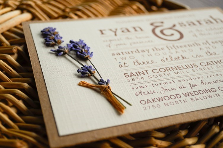 Thế giới Lavender