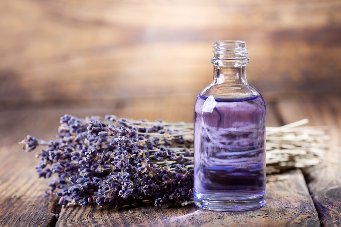 Thế giới Lavender