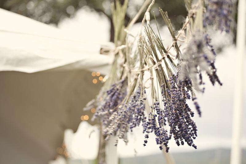 hoa lavender khô