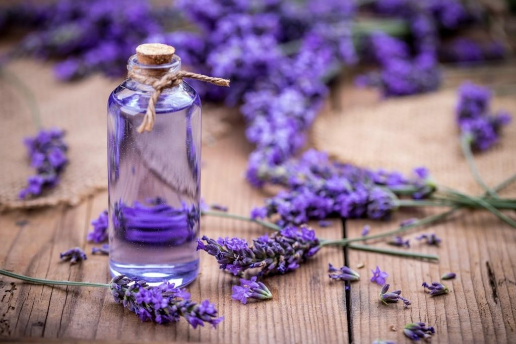 xà phòng Lavender