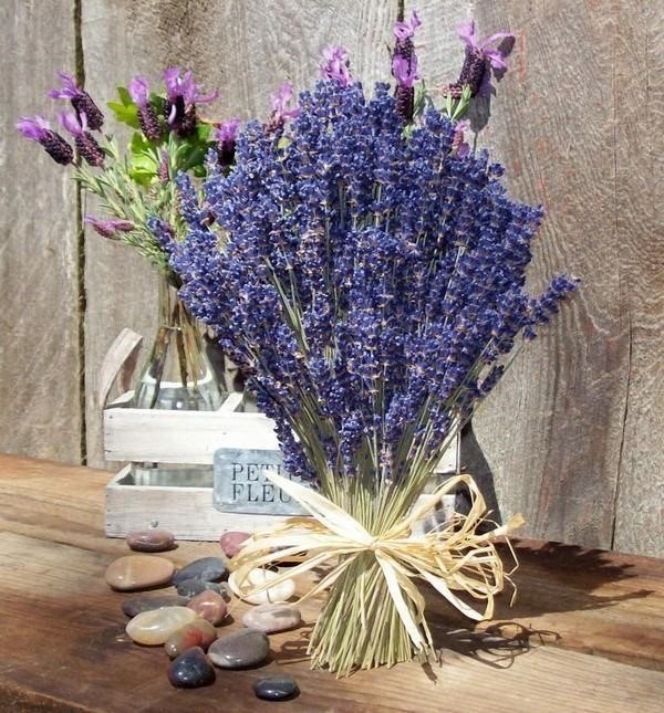 hoa lavender khô