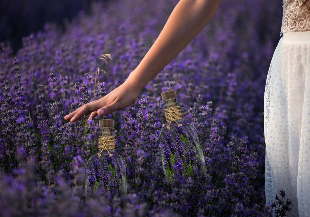 Tinh dầu lavender