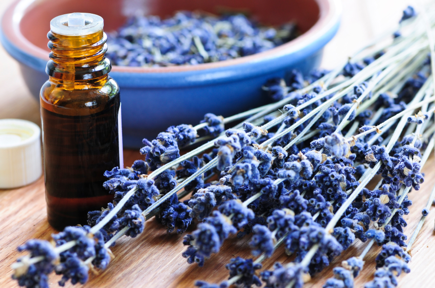 tinh dầu lavender﻿