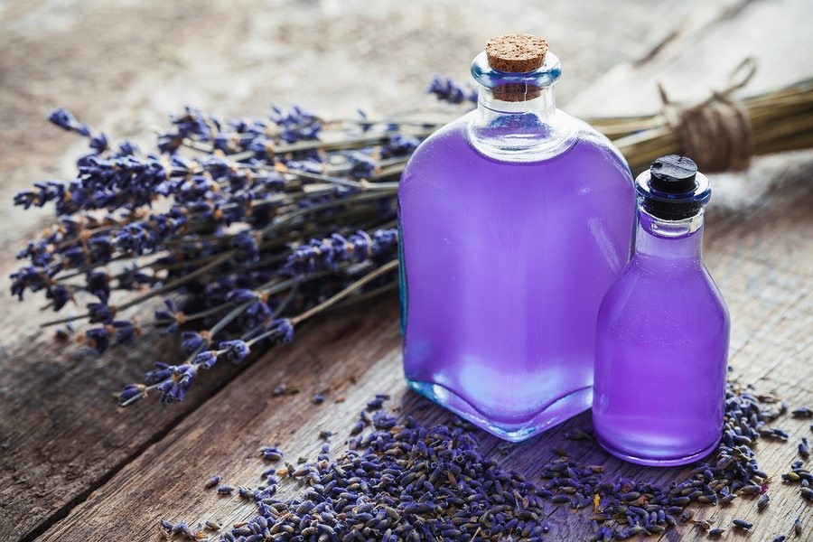 tinh dầu lavender﻿