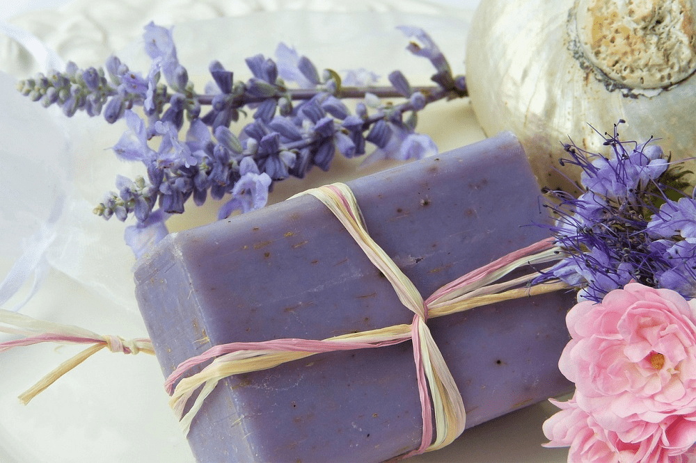 hoa khô Lavender