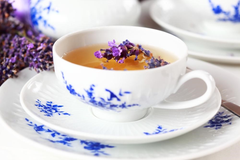 hoa Lavender