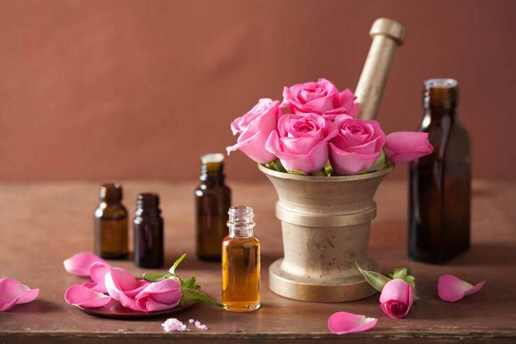 quà tặng từ hoa hồng
