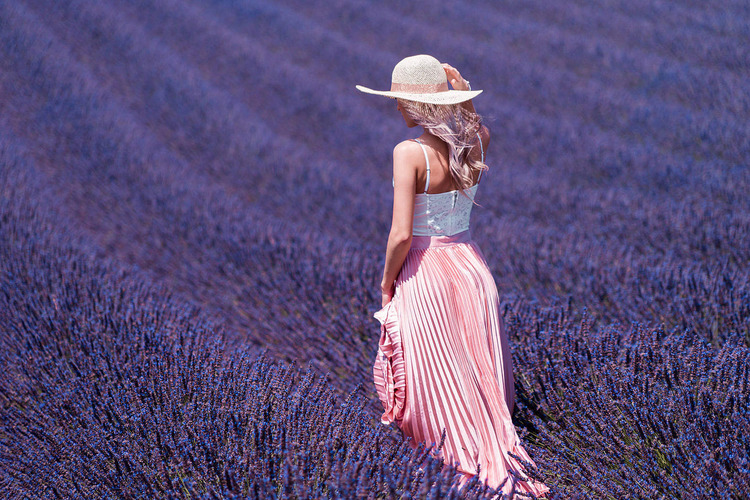 dầu gội Lavender 