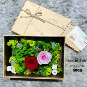 Hộp 2 hoa hồng ướp + cẩm tú cầu