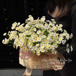 Hoa tana lụa * Hoa để bàn | HDB70