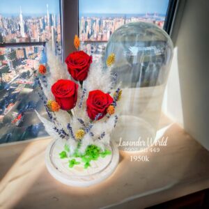 Dome thuỷ tinh