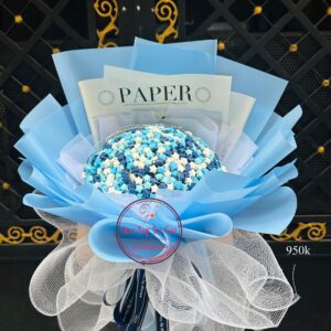 Y520 ngôi sao giấy = I Love You- tông xanh dương + dây đèn