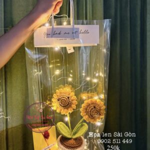 Chậu hoa len- couple mặt cười+ thiệp+ dây đèn