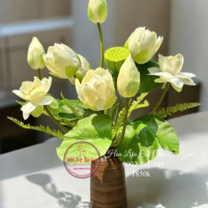 Bình Bạch Liên