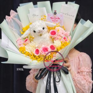 Hoa mix* cừu Alphaca