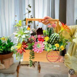Sen đá cao su non cao cấp- ggg26