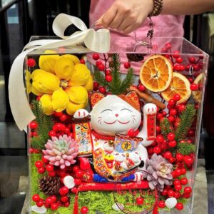 Vali mica cao cấp 35.35.20cm: Maneki Neko DDD7