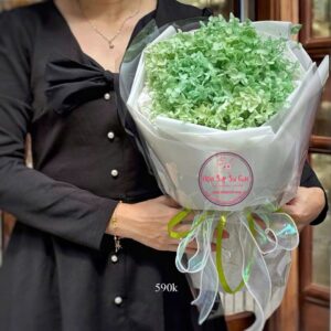 Cẩm tú cầu khô thật