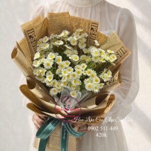 BOH35 Hoa lụa cúc tana - giấy báo chữ