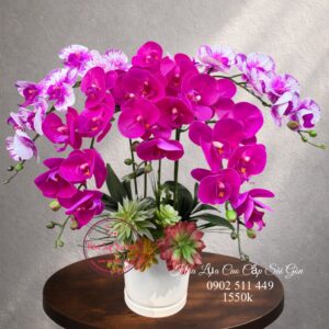 Lan hồ điệp cao su non cao cấp - Khai trương/ tân gia/ sinh nhật - cst2