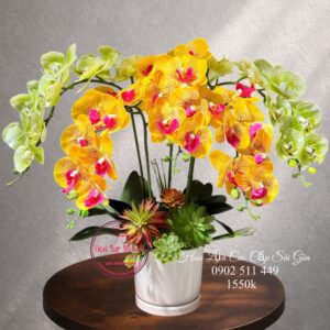 Lan hồ điệp cao su non cao cấp - Khai trương/ tân gia/ sinh nhật - cst7
