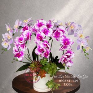 Lan hồ điệp cao su non cao cấp - Khai trương/ tân gia/ sinh nhật - cst4