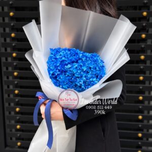 Cẩm tú cầu khô * Hoa bó | HB188